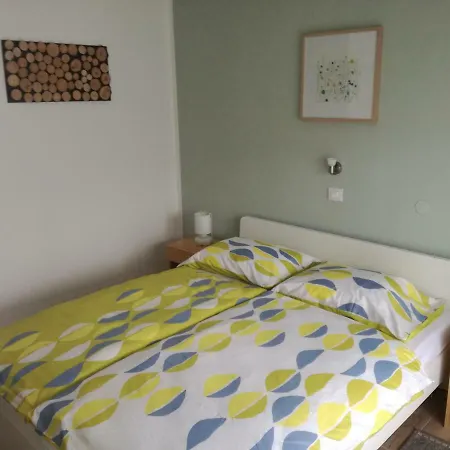 Apartma Irena Volce Exterior photo