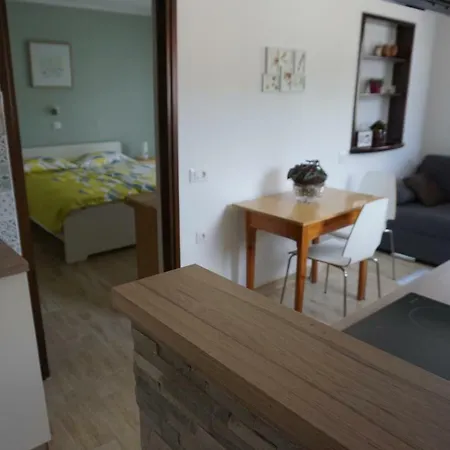Apartma Irena Volce Exterior photo